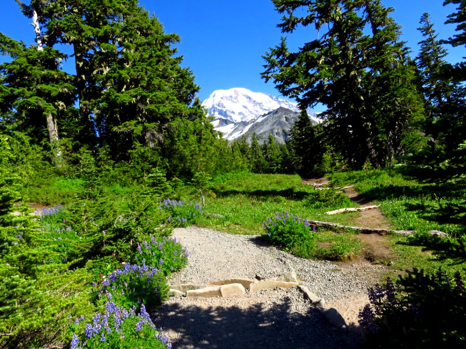 Spray Park Trail at Mt. Rainier NP in WA