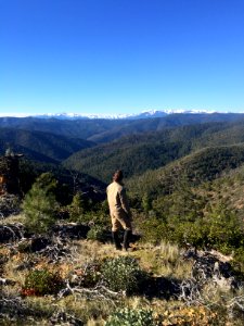 Chappie Shasta OHV Area