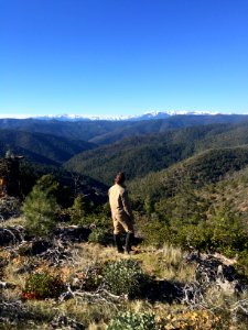 Chappie Shasta OHV Area photo