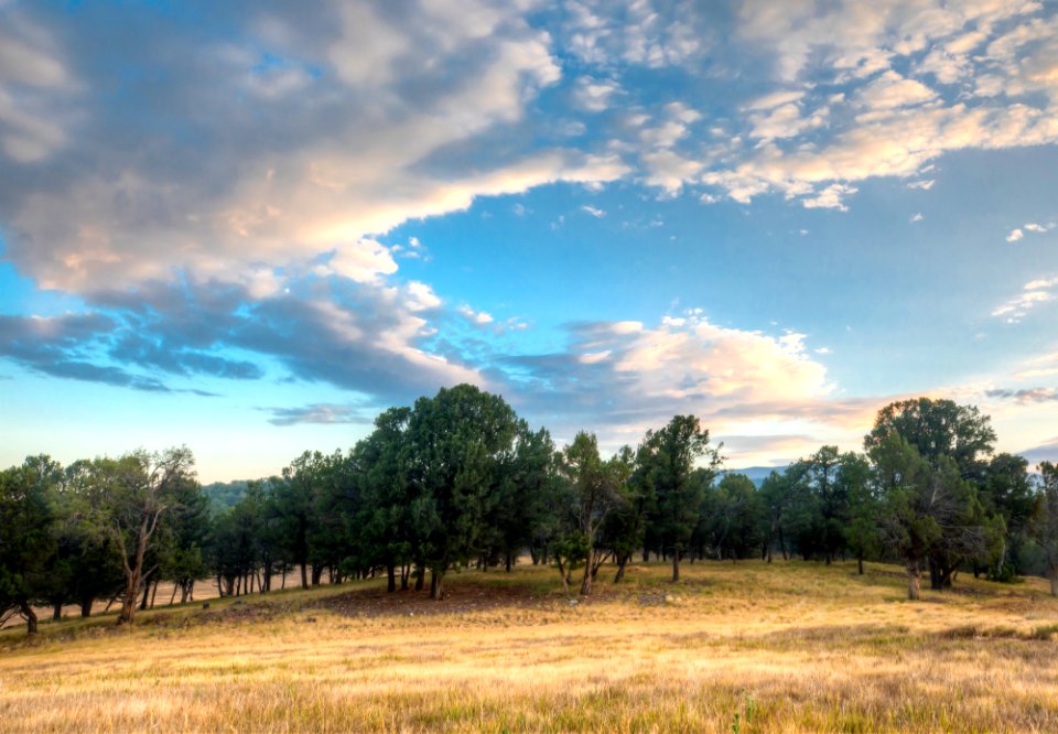 small Sutey Ranch CO-6