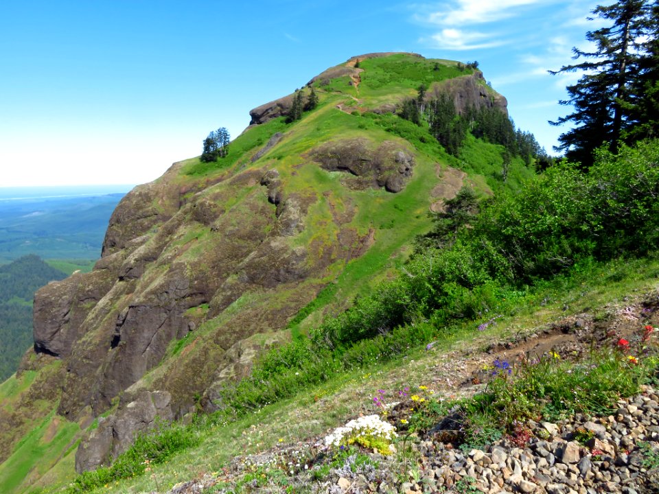 Saddle Mountain Trail in OR
