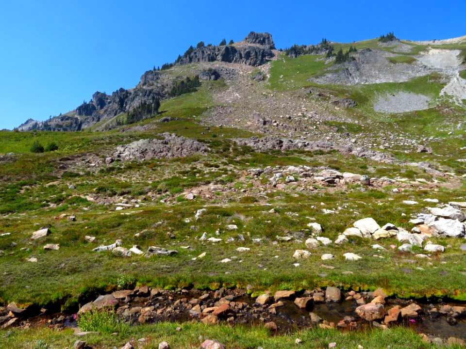 Goat Rocks Wilderness in WA