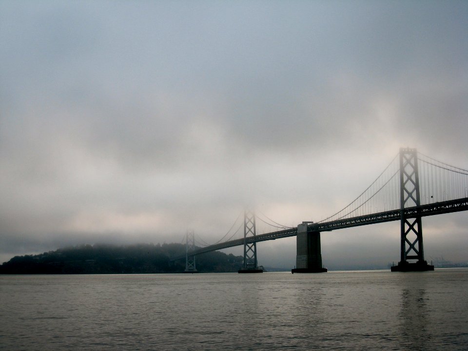 Foggy Bay Morning