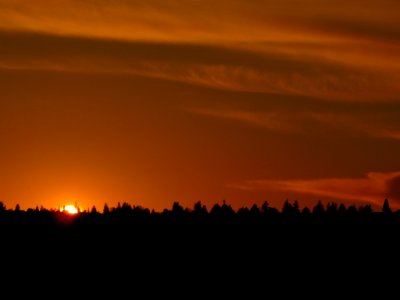 Skyline Sunset in Seattle, WA photo