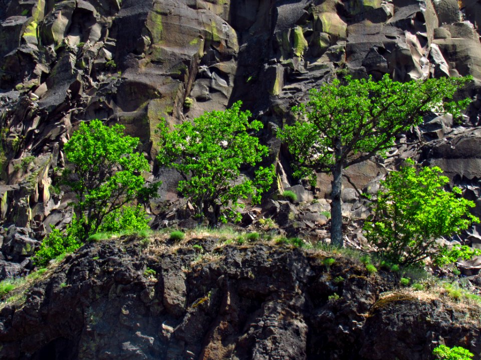 Labyrinth-Coyote Wall Trail in WA