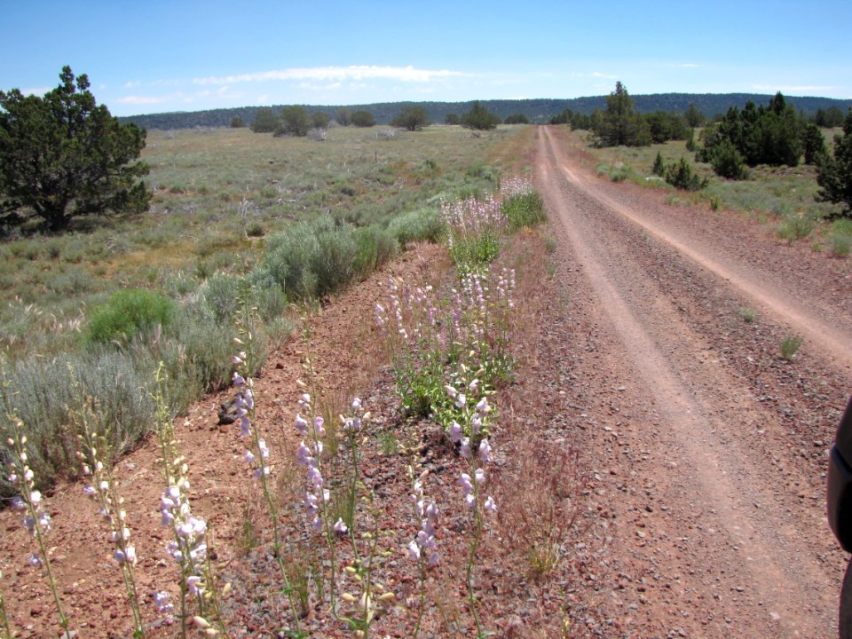 Surprise Valley Barrel Springs Back-Country Byway