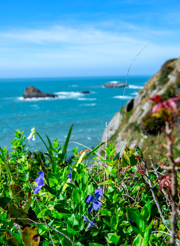 Trinidad Head