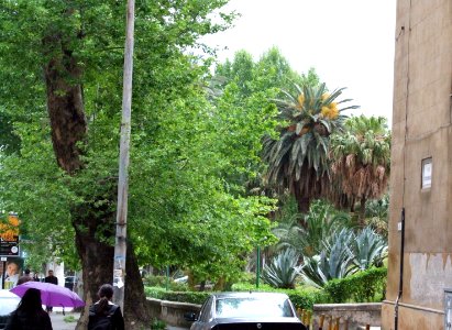 Palermo-Sicily-Italy - Creative Commons by gnuckx