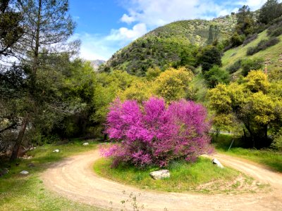 Merced River Recreation Management Area