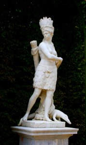 Native in Versailles