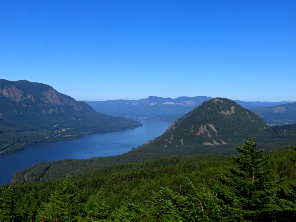 Dog Mountain Trail in Washington