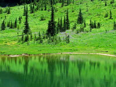 Tipsoo Lake at Mt. Rainier NP in WA photo