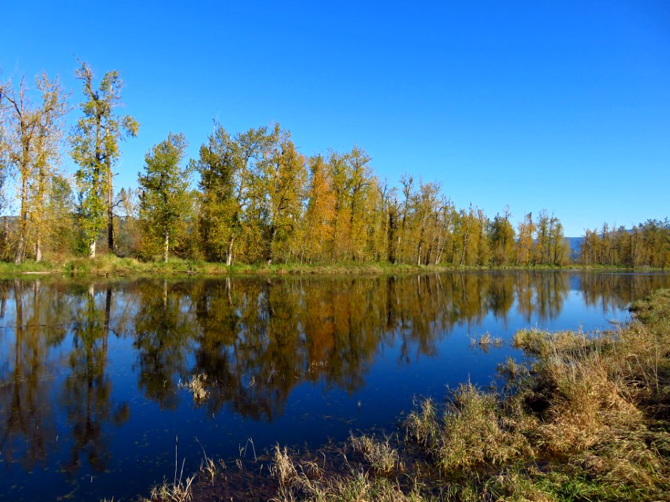 Autumn at Steigerwald Lake NWR in WA