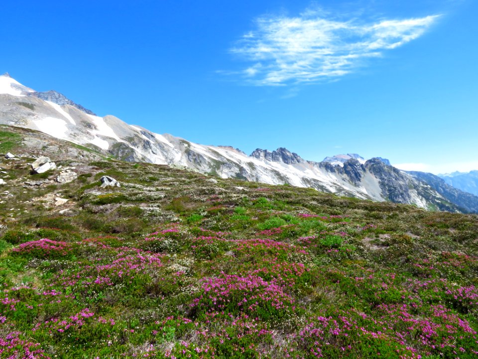 Cascade Pass Trail at North Cascades NP in WA