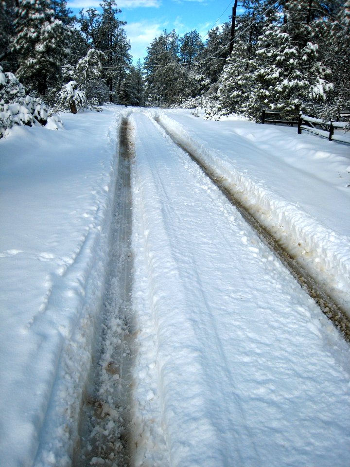 Tracks