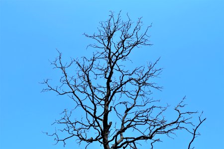 2018 Carr Fire