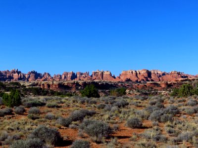 Needles District at Canyonlands NP in Utah