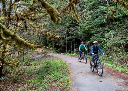 Headwaters Forest Reserve