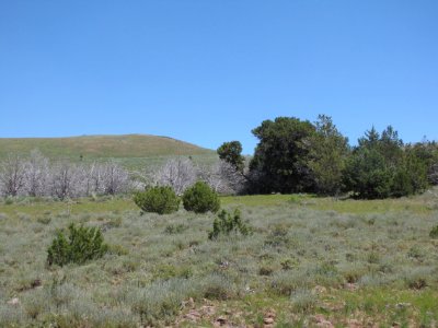 Surprise Valley Barrel Springs Back-Country Byway photo