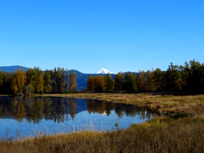 Mt. Hood at Steigerwald Lake NWR in WA