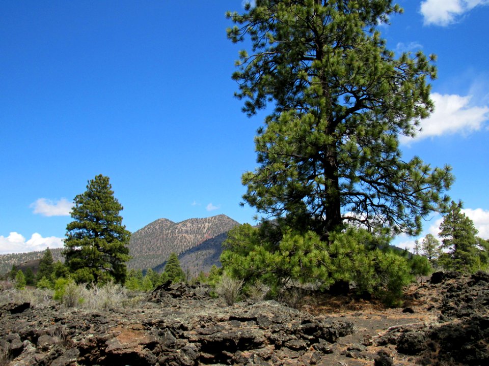 Sunset Crater Volcano NM in Arizona