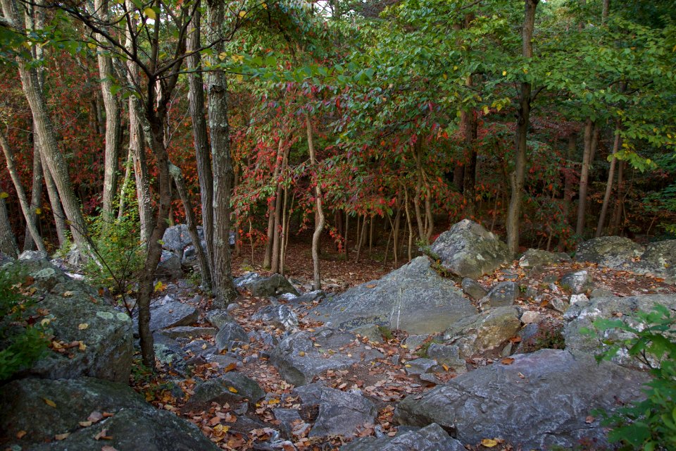  DSC0133
