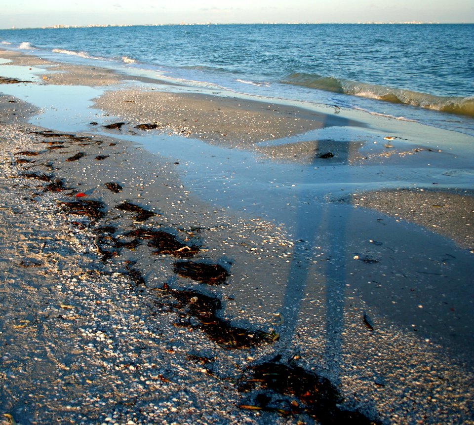 Long Tall Shadow on Sanibel Island