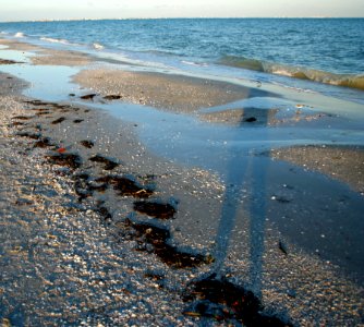 Long Tall Shadow on Sanibel Island photo