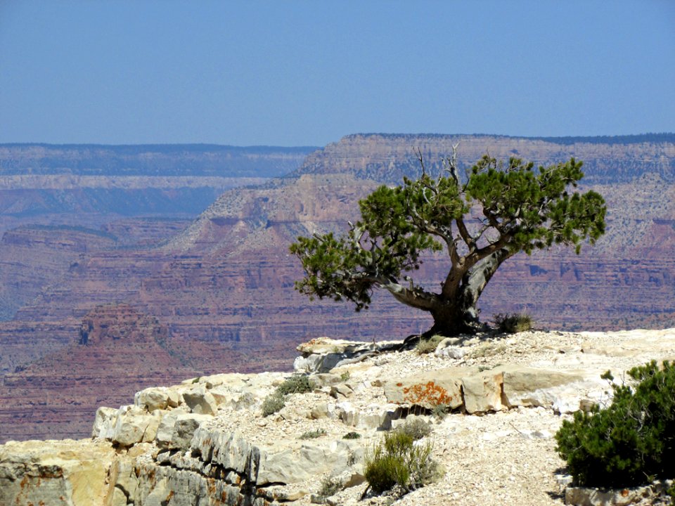 Grand Canyon NP in AZ