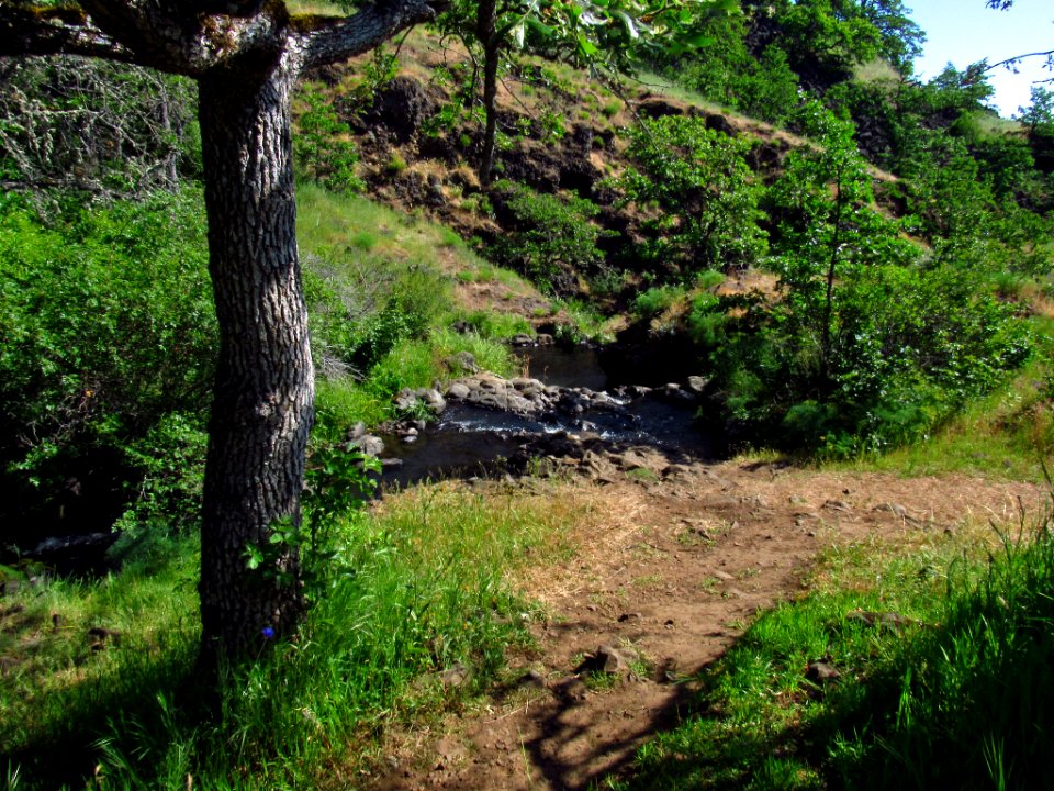 Labyrinth-Coyote Wall Trail in WA