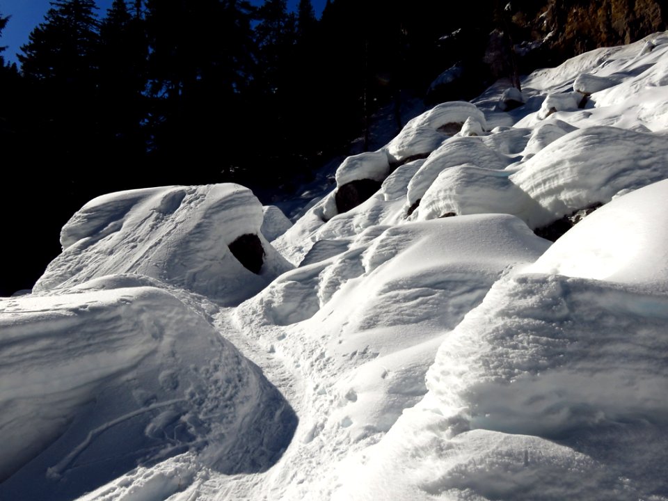 Tamanawas Falls Trail at Mt. Hood in Oregon