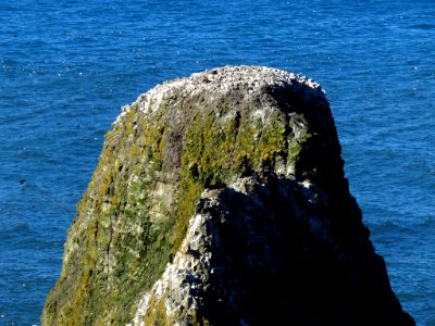 Yaquina Head Natural Area at Oregon Coast photo