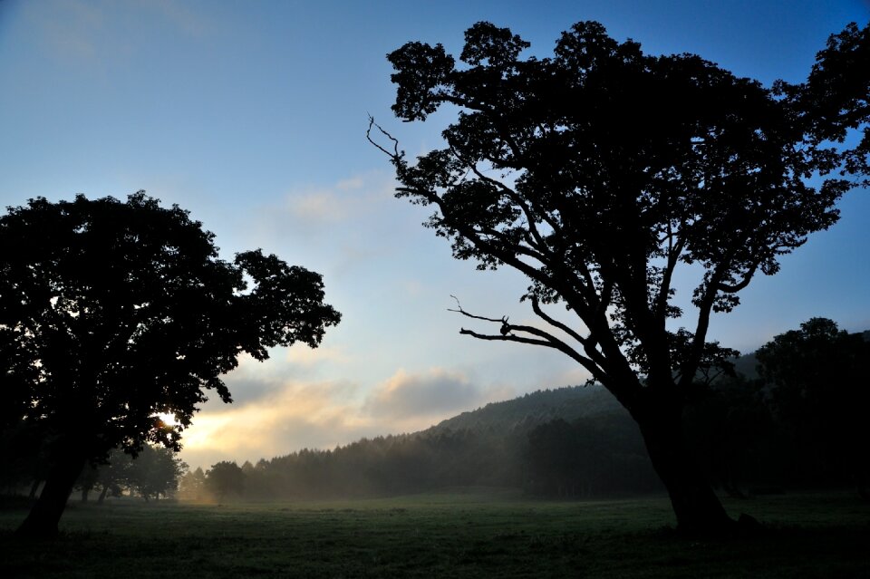 Ranch asahi arboretum