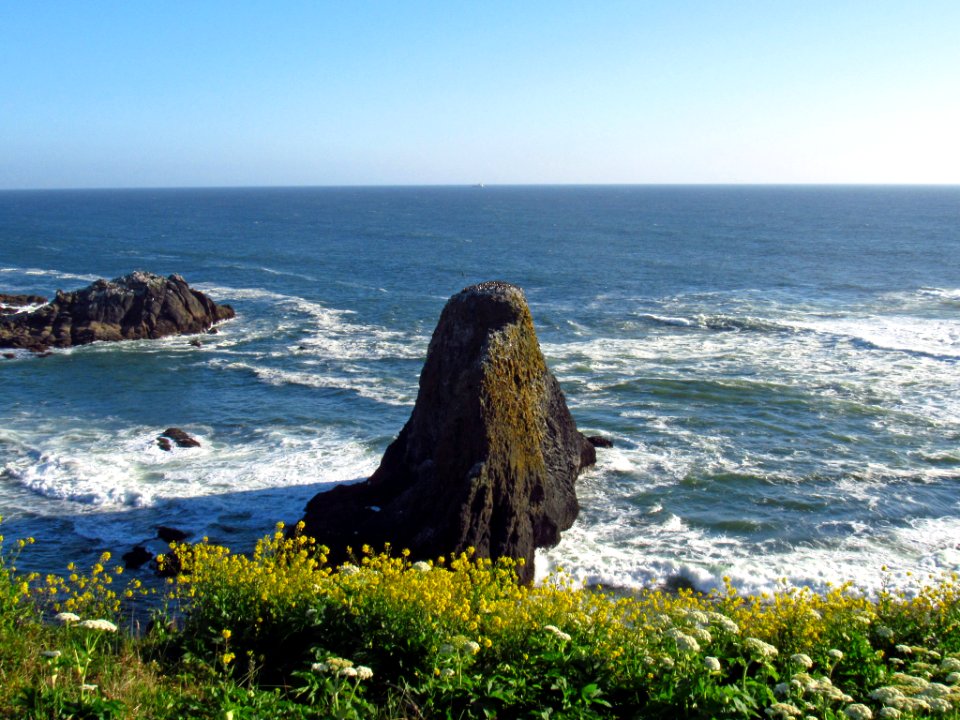 Yaquina Head Natural Area in OR