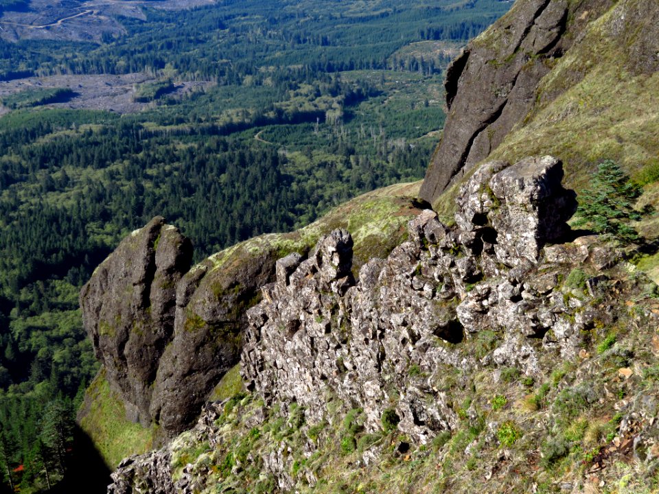 Saddle Mountain Trail in OR