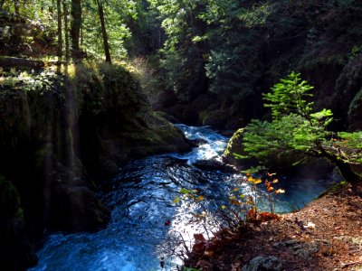 Spirit Falls Trail on Little White Salmon River in WA photo