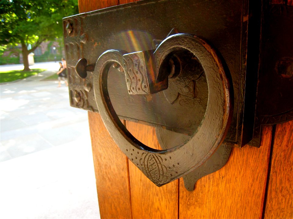 Hearty Door Handle