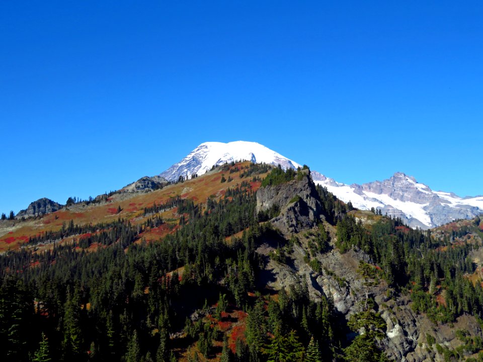 Mt. Rainier at Tatoosh Ridge in WA