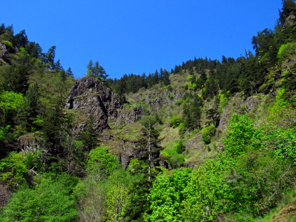 Dog Creek Falls Trail in WA