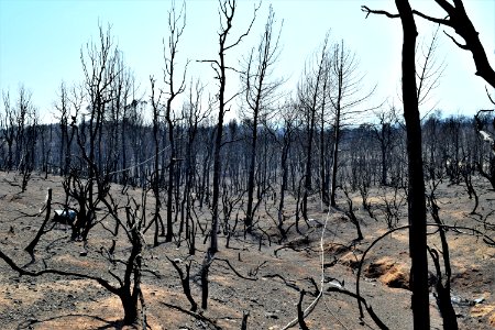 2018 Carr Fire