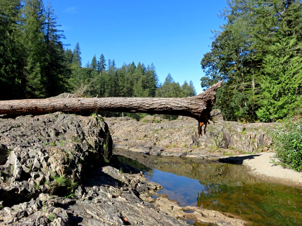 Lucia Falls Park at Lewis River in WA