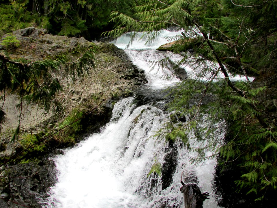 Waterfall at McKenzie River Trail in Central OR