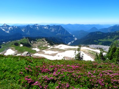 Skyline Trail at Mt. Rainier NP in WA photo