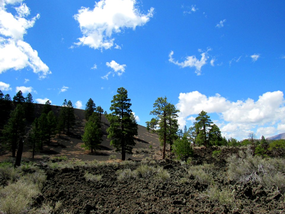 Sunset Crater Volcano NM in Arizona