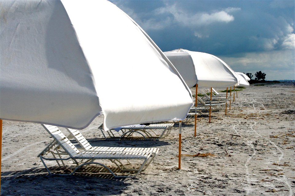 Umbrellas to the Horizon