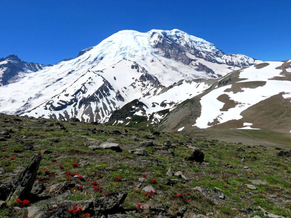 Mt. Rainier NP in Washington