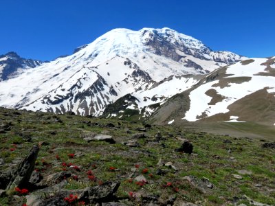 Mt. Rainier NP in Washington photo