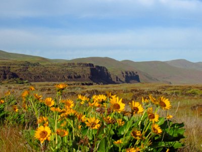 Horsethief Butte in WA