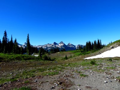 Skyline Trail at Mt. Rainier NP in WA photo