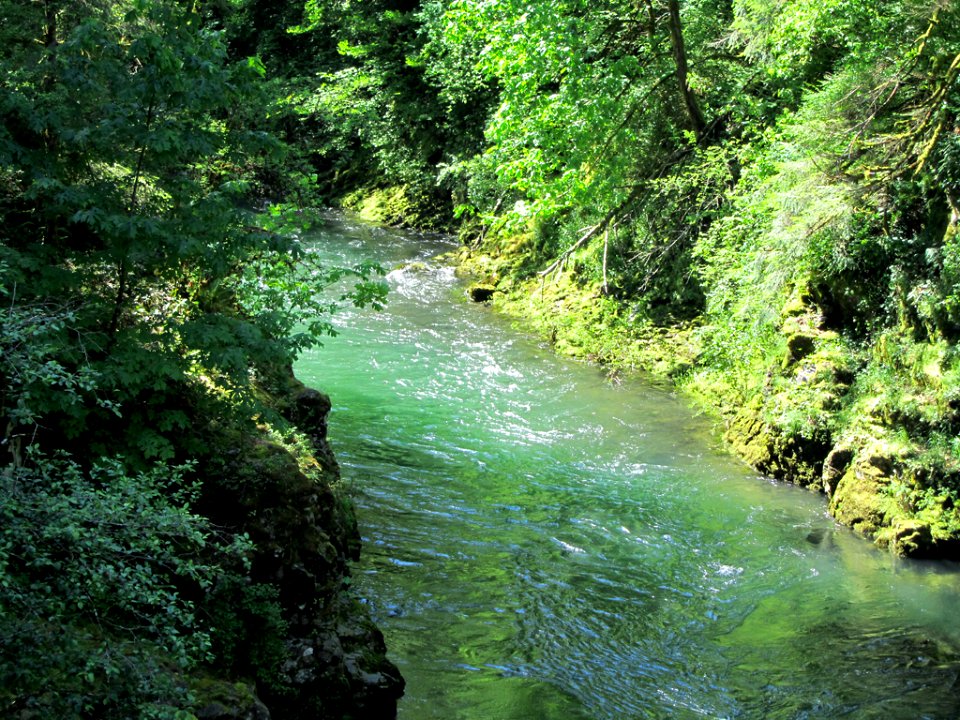 Moulton Falls Park at Lewis River in WA